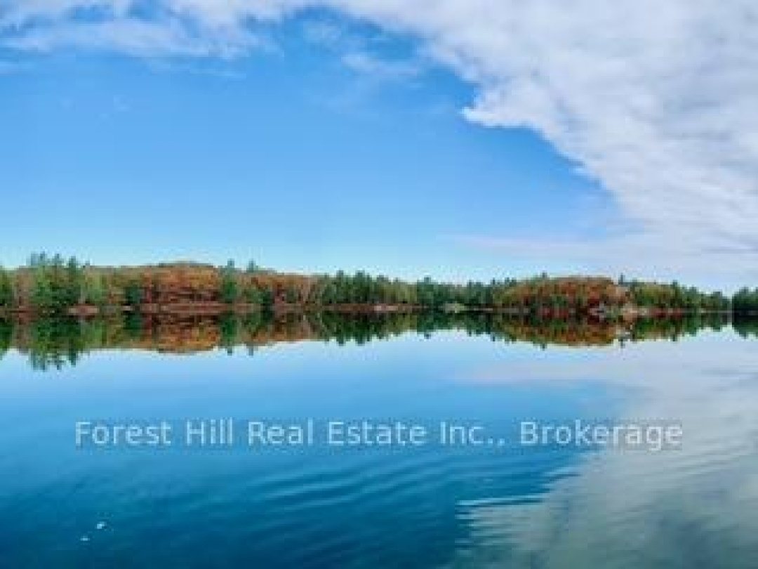 60 Hawksview Lane, Faris Lake