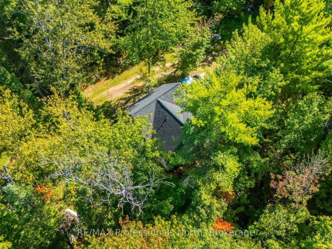 319 BOUNDARY ROAD, 