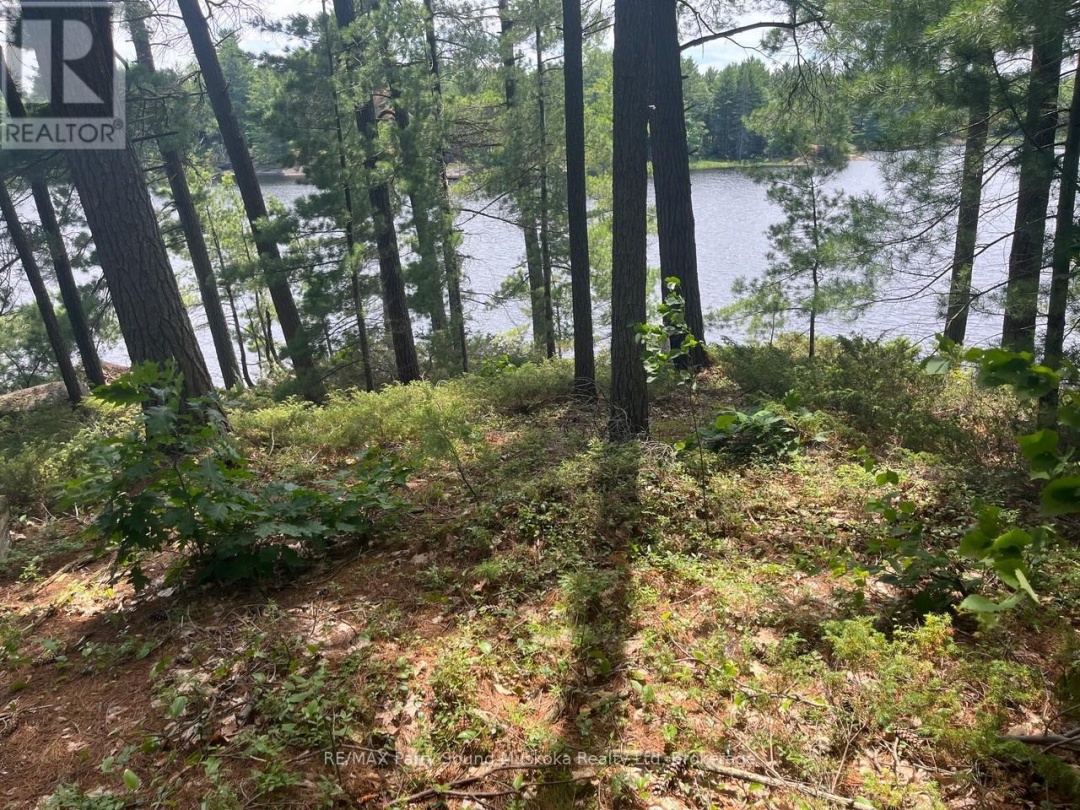 3 Sandy Hook, Wahwashkesh Lake
