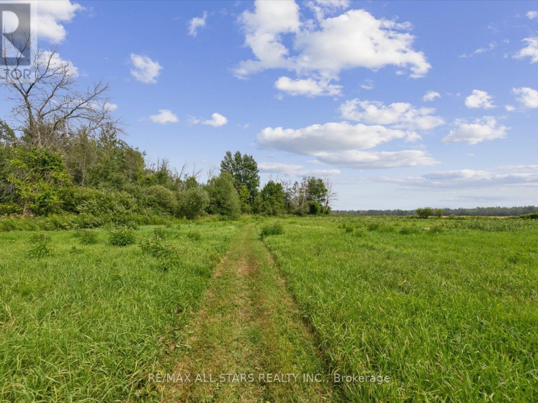 32805 THORAH SIDE ROAD, 
