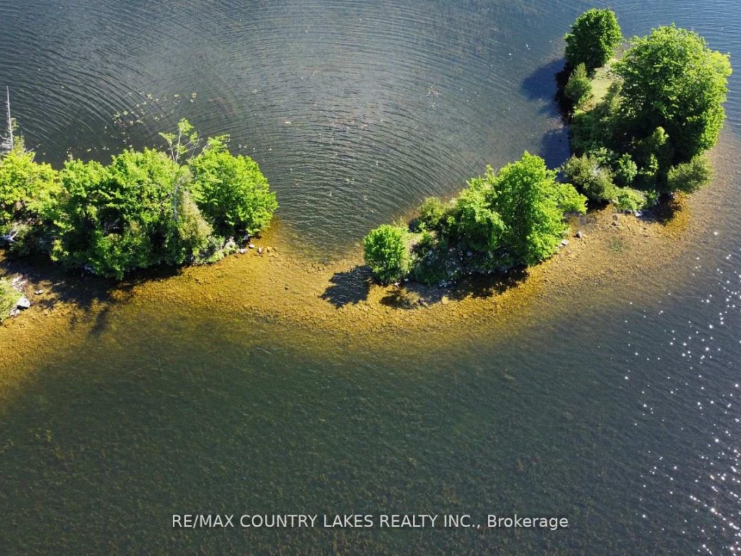 Lt 1 Island, Canal Lake