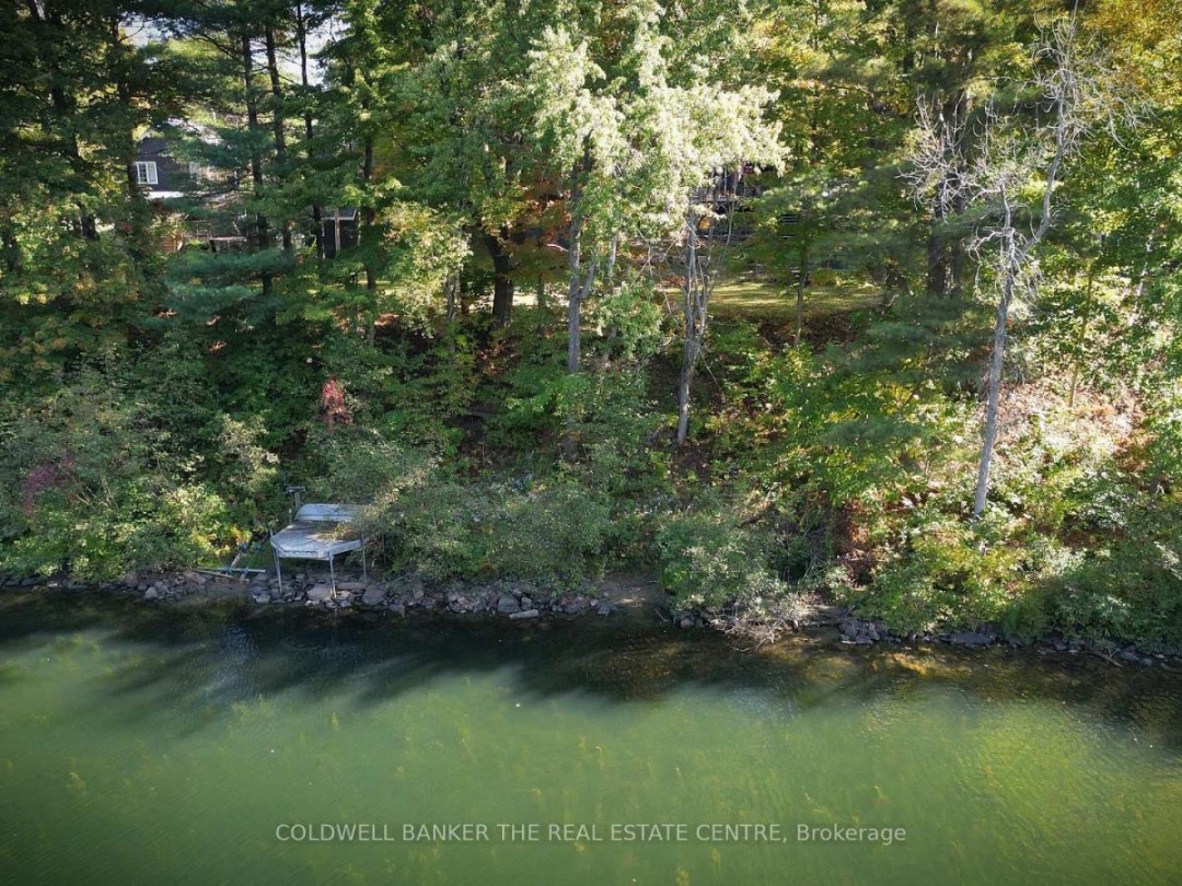 2562 NORTON ROAD, Trent Severn River