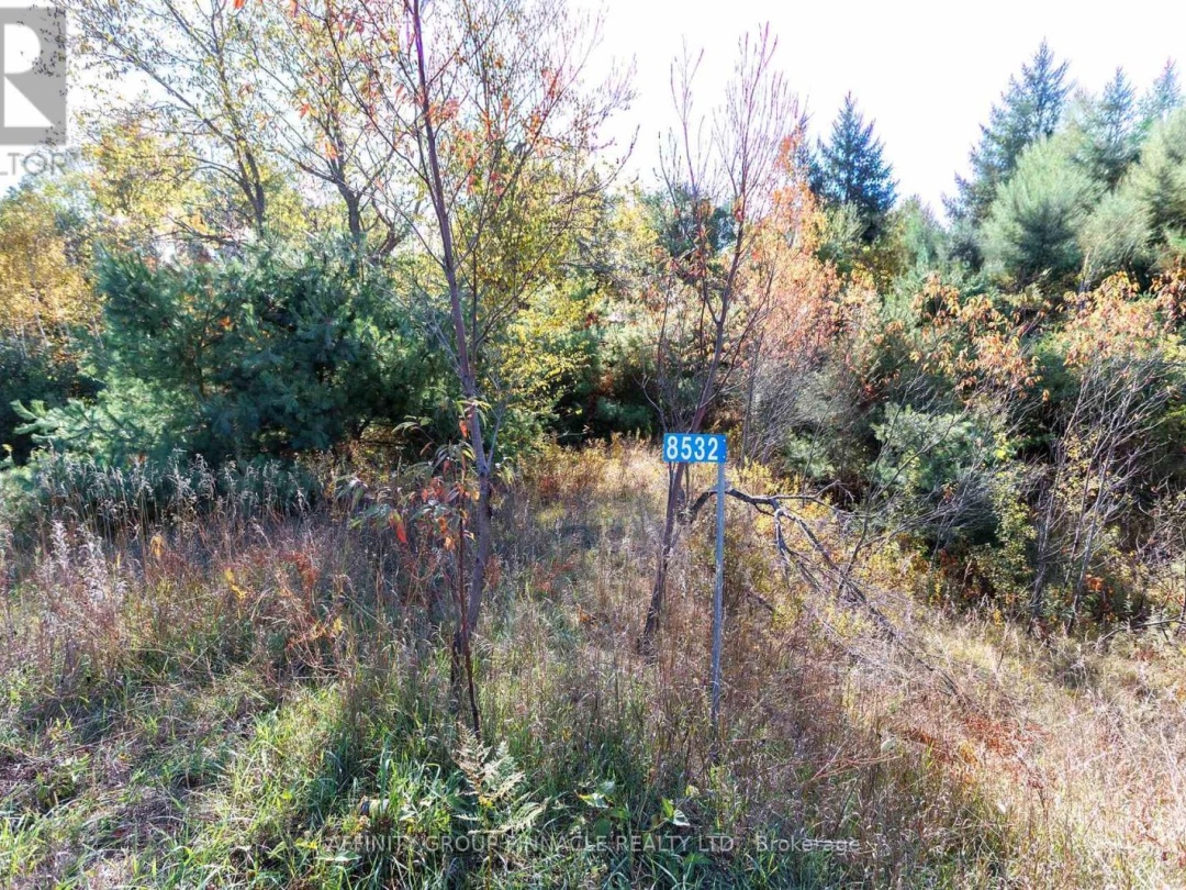 8532 COUNTY RD 503, 