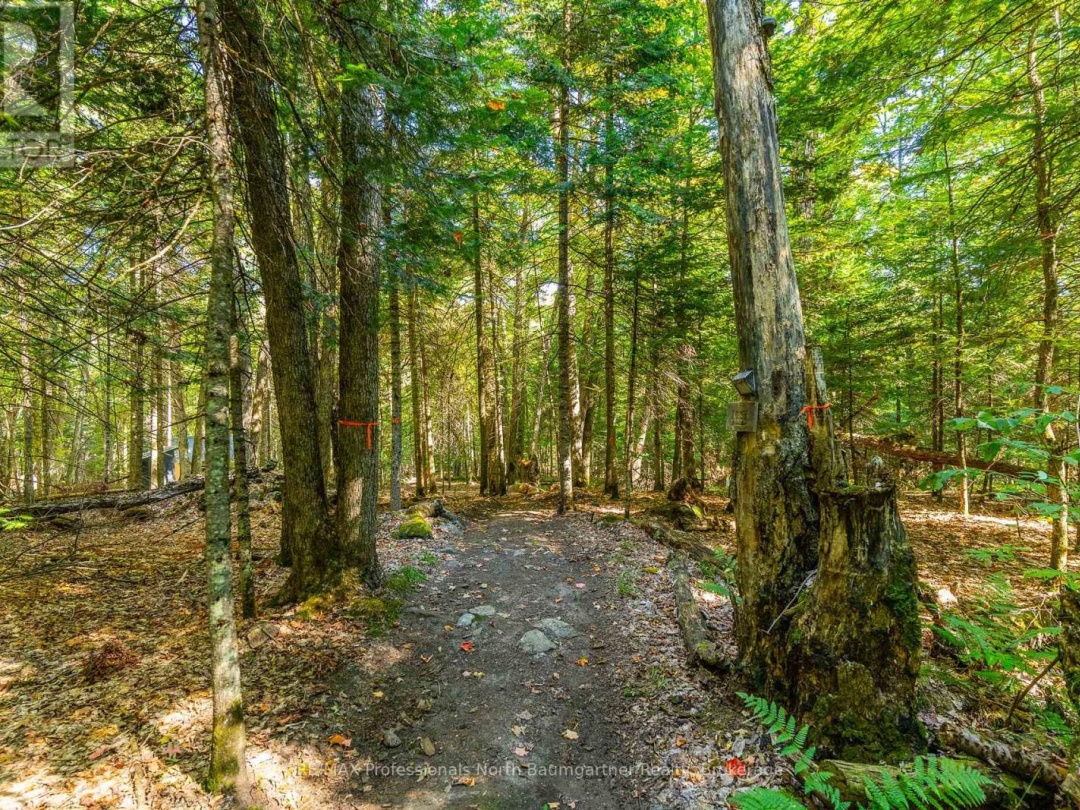 LOT 40 BASSHAUNT LAKE ROAD, 
