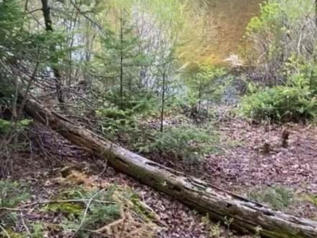 Lot 22 Select Trail, Drag Lake