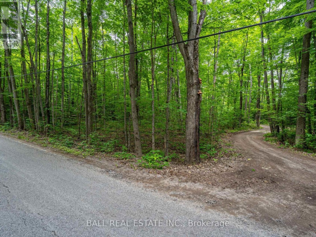 0 Mill Line Road, Pigeon Lake