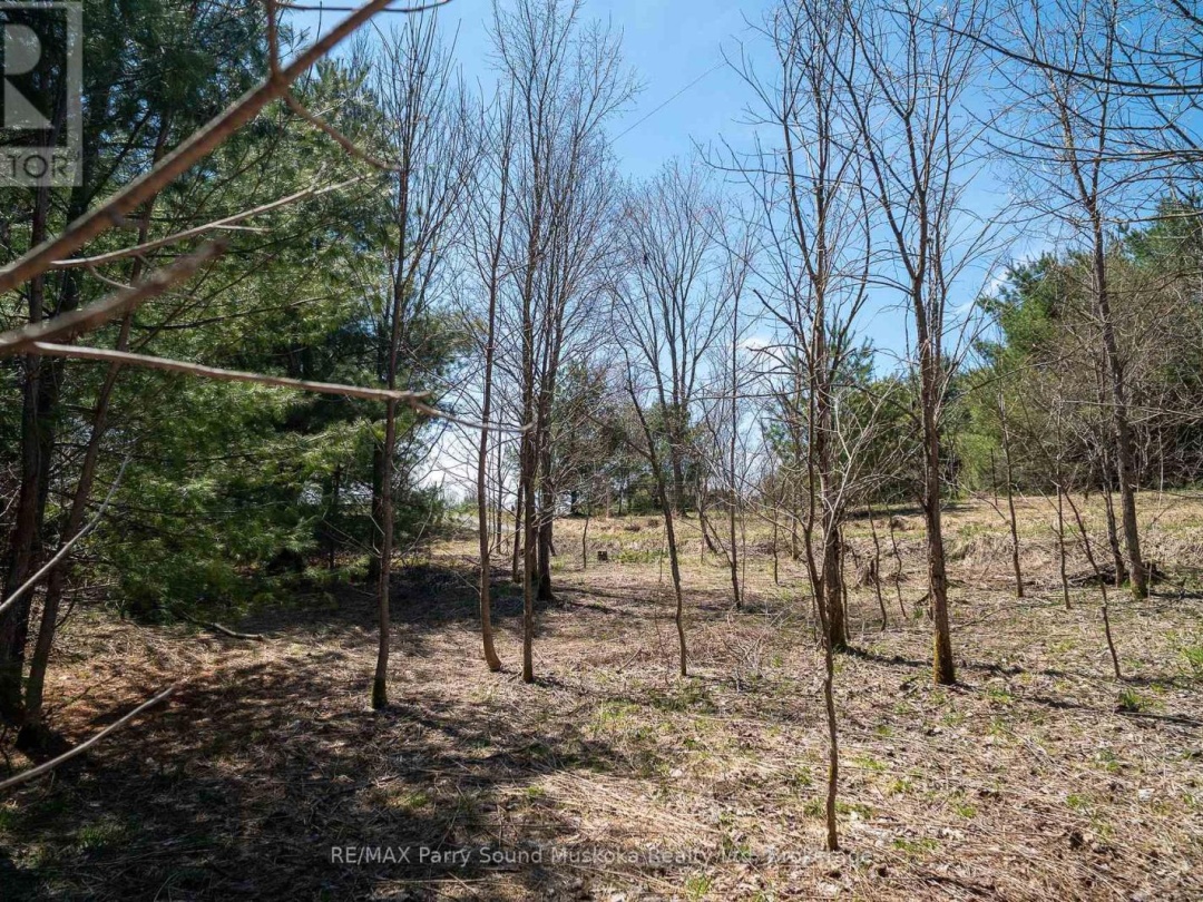 10 Alex Lane, Maple Lake