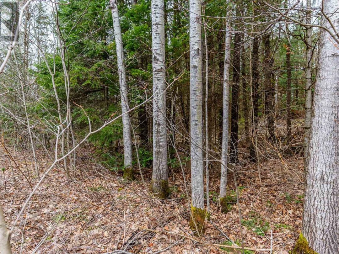 0 Glamorgan Road, Gooderham Lake