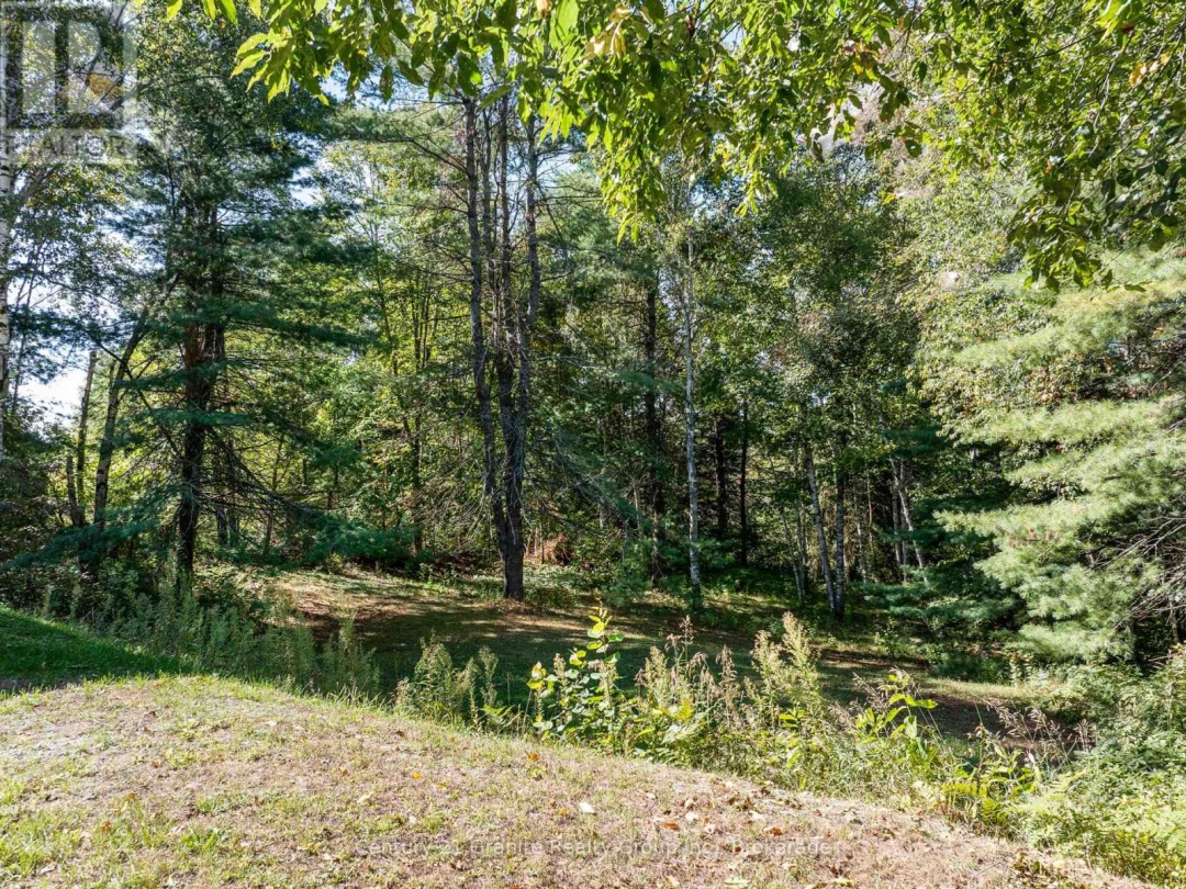 733 BOBCAYGEON ROAD, 