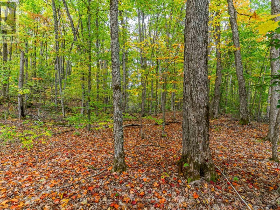 PART LOT 1 SALERNO LAKE ROAD, 