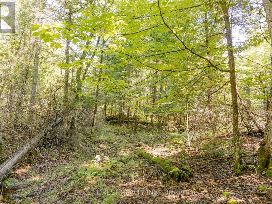 Lot 69 25Th Line, Maple Lake