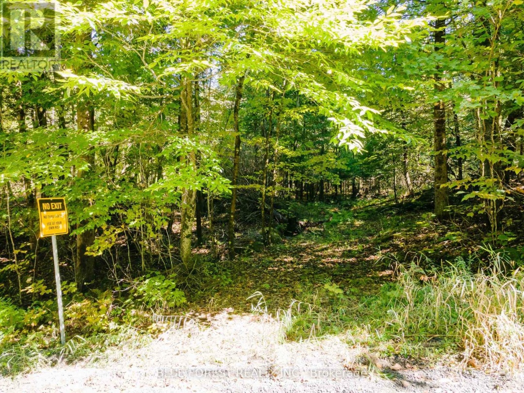 Lot 69 25Th Line, Maple Lake