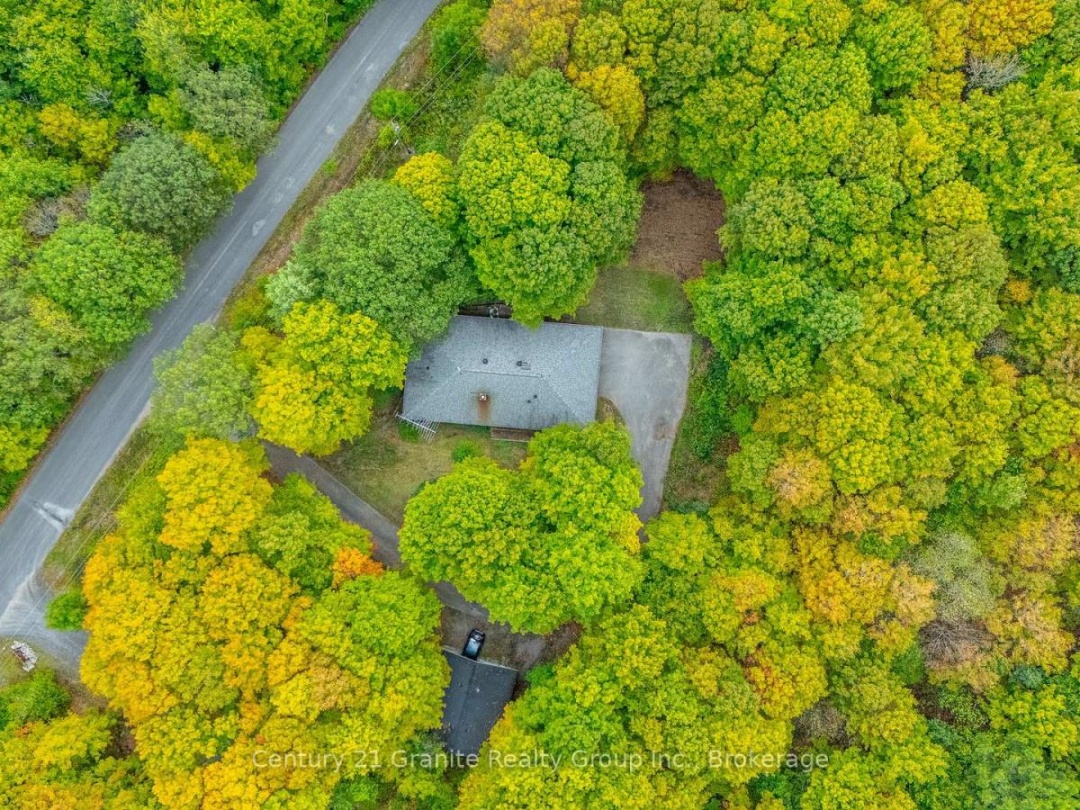 1204 WALKER LINE ROAD, 