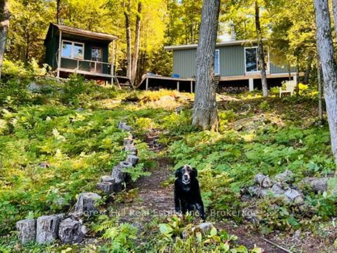 60 Hawksview Lane, Faris Lake
