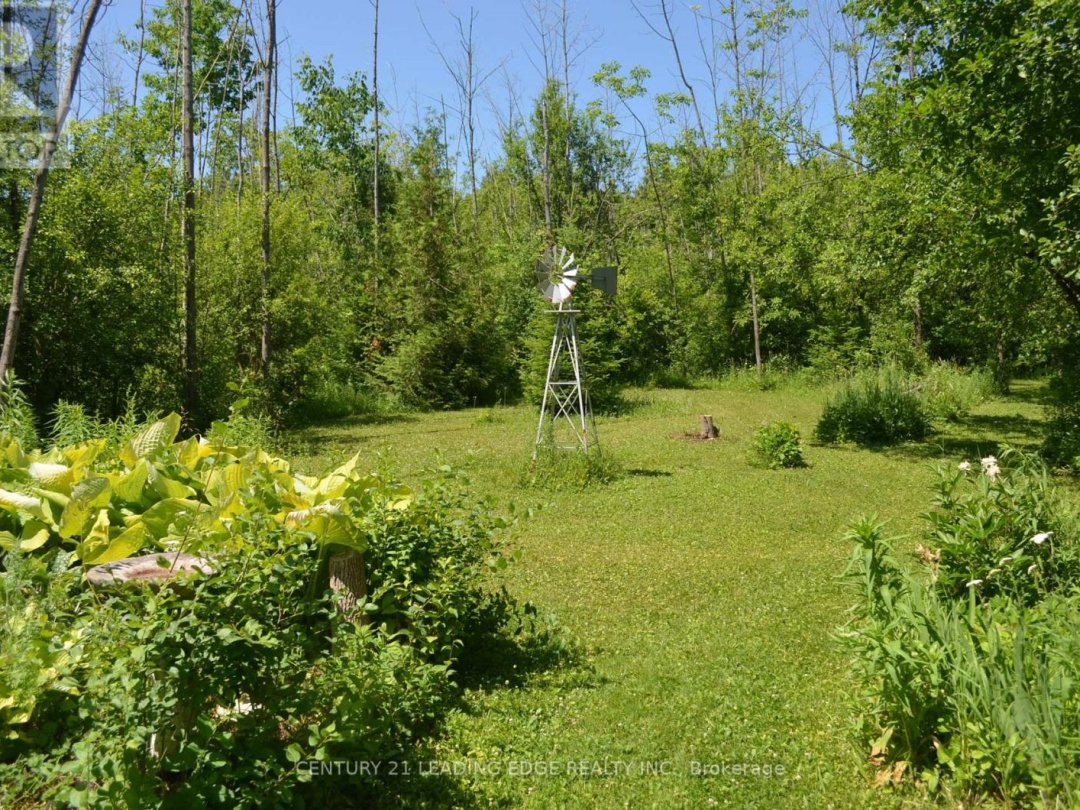 259 GEORGE DRIVE, 