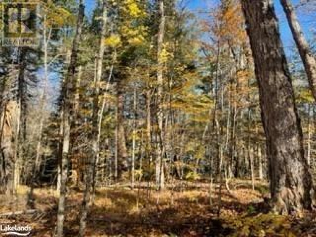 1440-5 WEST OXBOW LAKE ROAD, Oxbow Lake