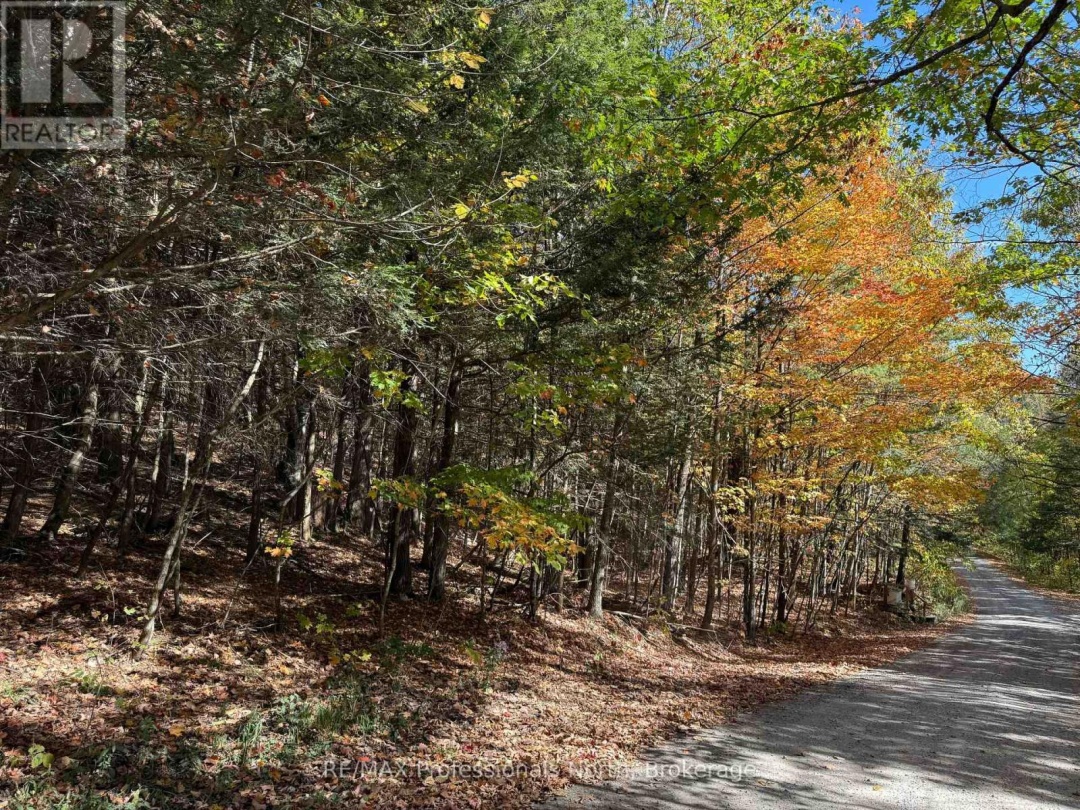 PT LT 7 CON 3 BUCKSLIDE ROAD, 