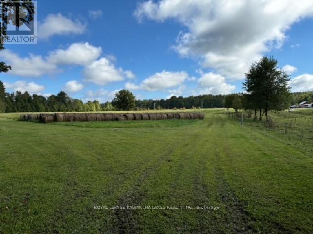 2433 COUNTY ROAD 121 ROAD, 