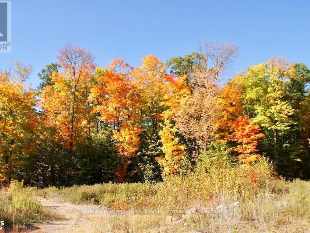 0 Highway 35, Otter Lake