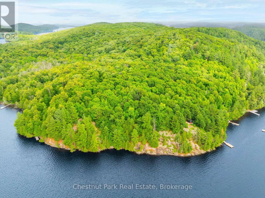920 BIG ISLAND, 