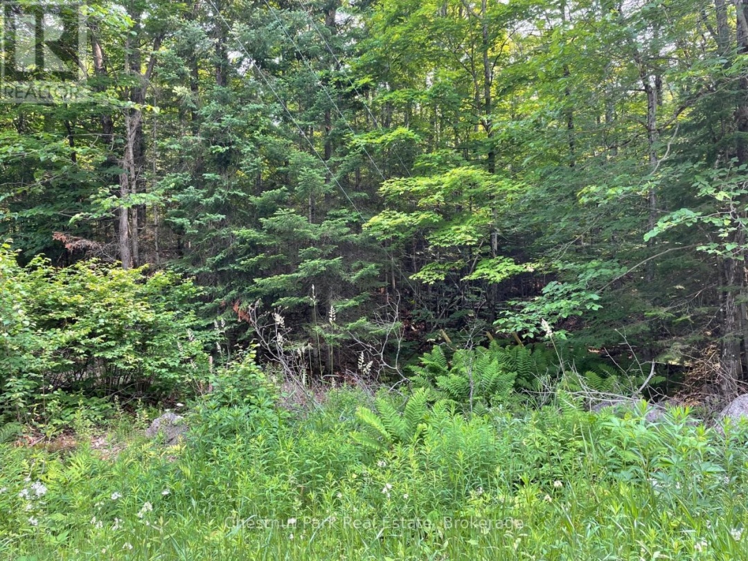PT 1 COLEMAN LAKE ROAD, 