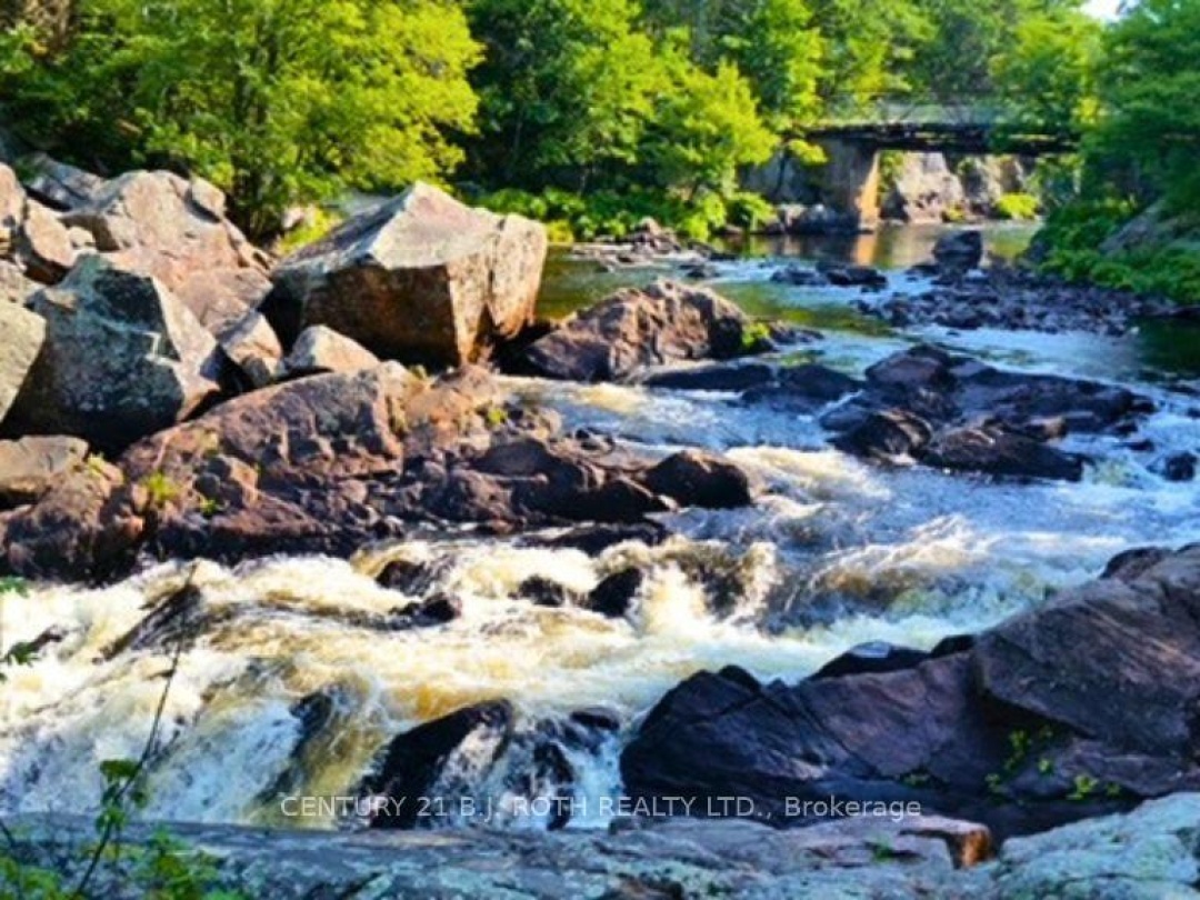 8101 KINGS RIVER ROAD, Black River