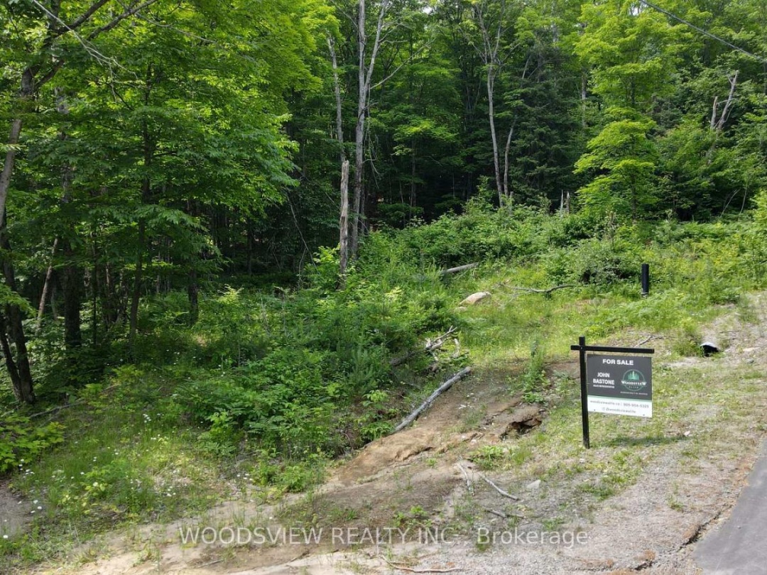 1610 WILLIAMSPORT ROAD N, 