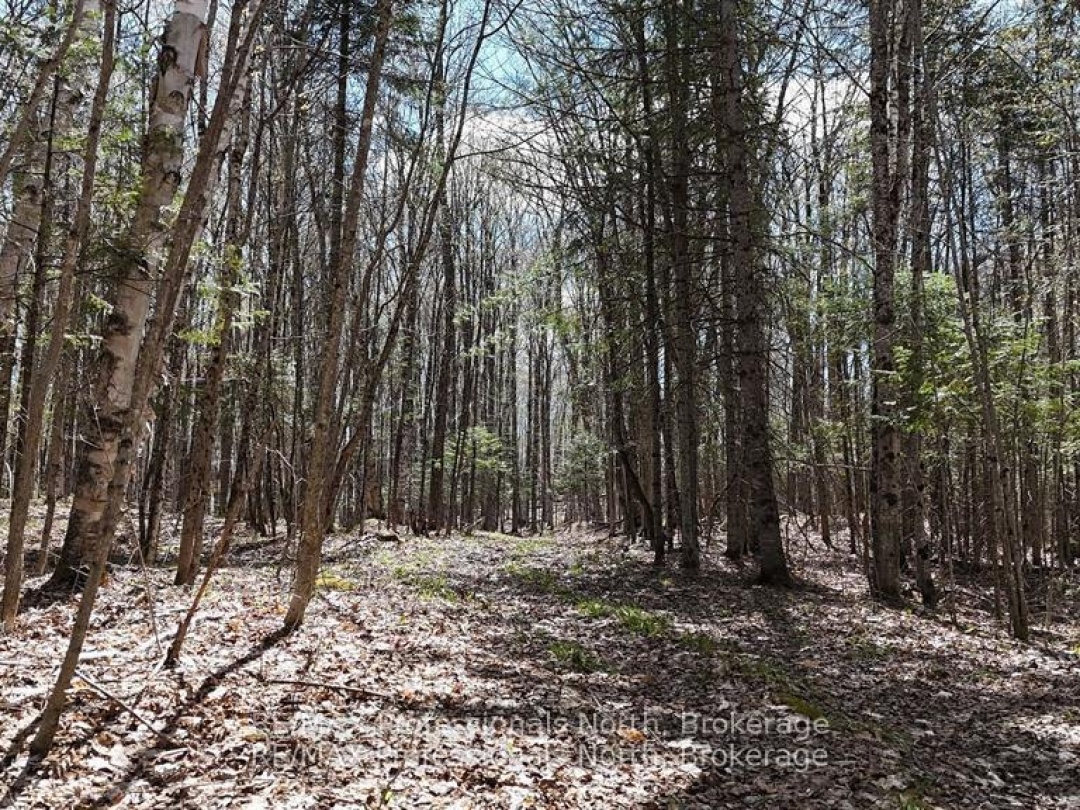 0 OSPREY ROAD, 
