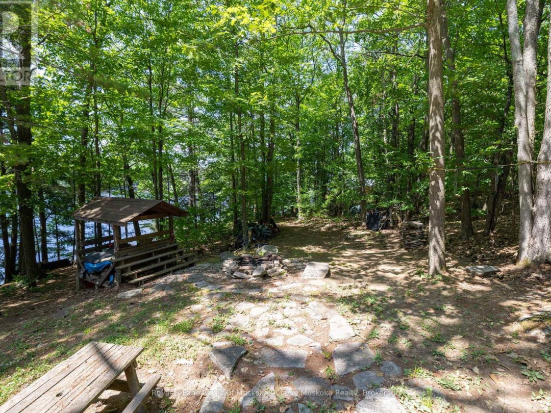 41 MILLER ISLAND, 