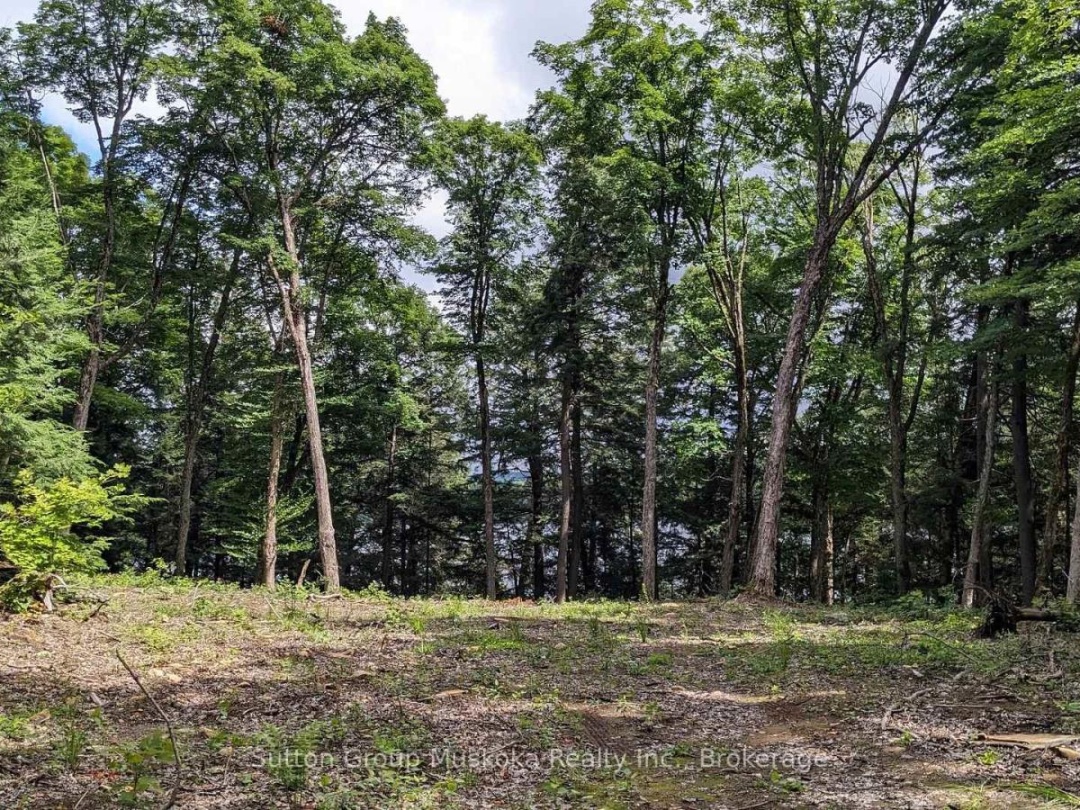 LOT 1 ESIG LANE, 