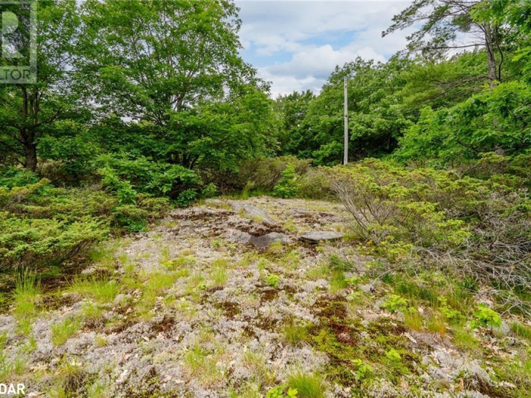 Lot 1 Delta Road, Sparrow Lake