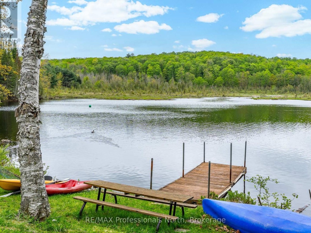 3539 COUNTY ROAD 21, 