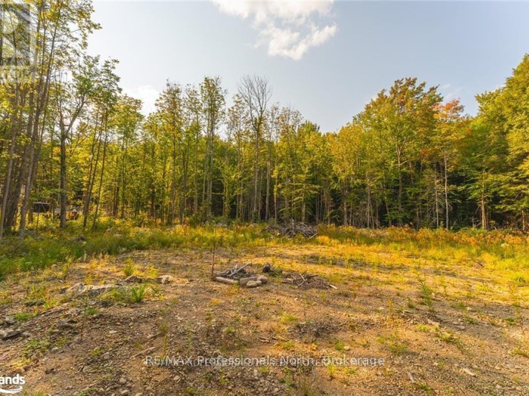 1205 Little Hawk Lake Road, Algonquin Highlands