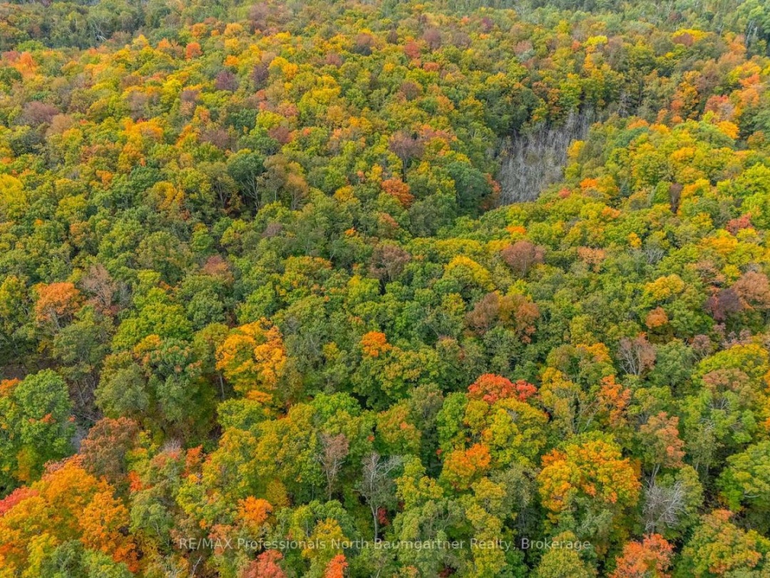 PART LOT 1 SALERNO LAKE ROAD, 