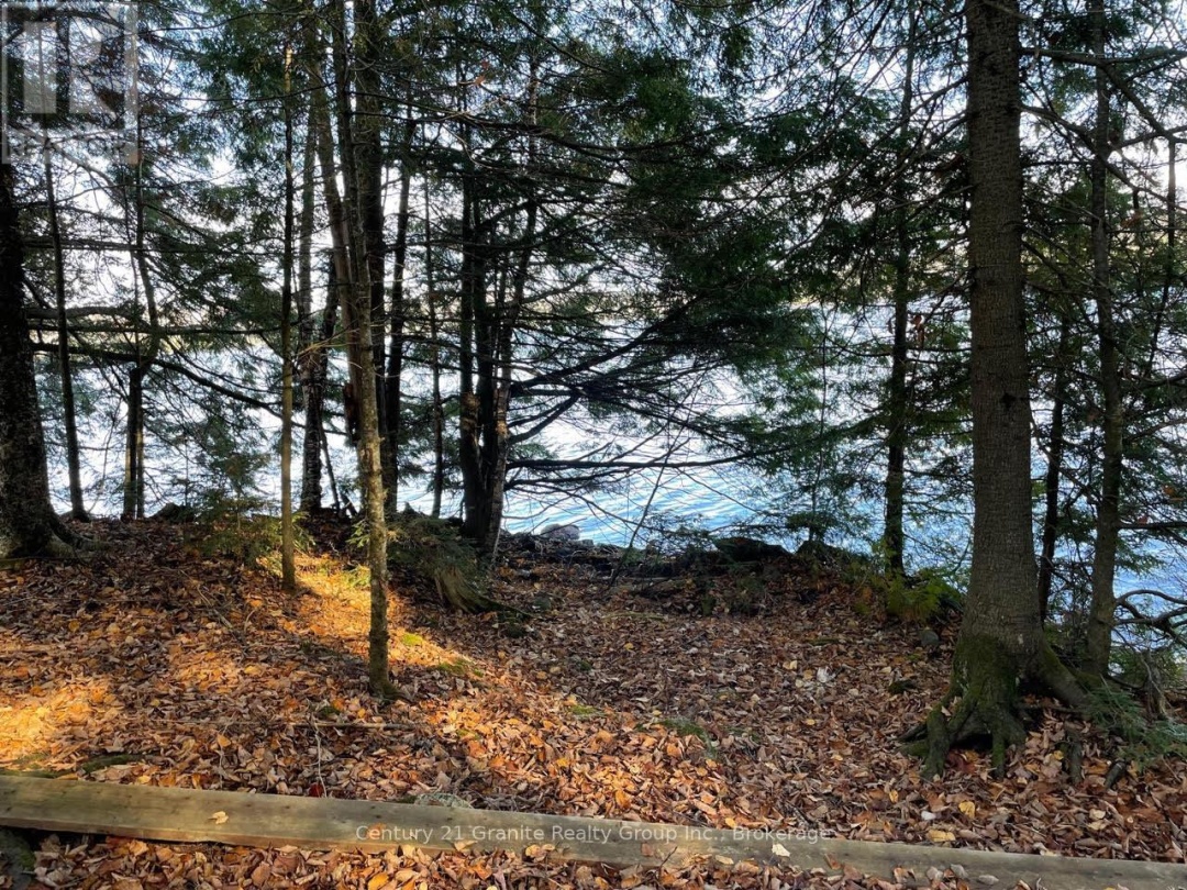 1038 BROKEN PADDLE ROAD, 