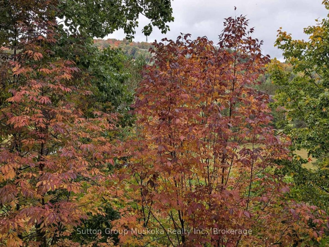 27-202 GOLFVIEW - DEERHURST DRIVE, 