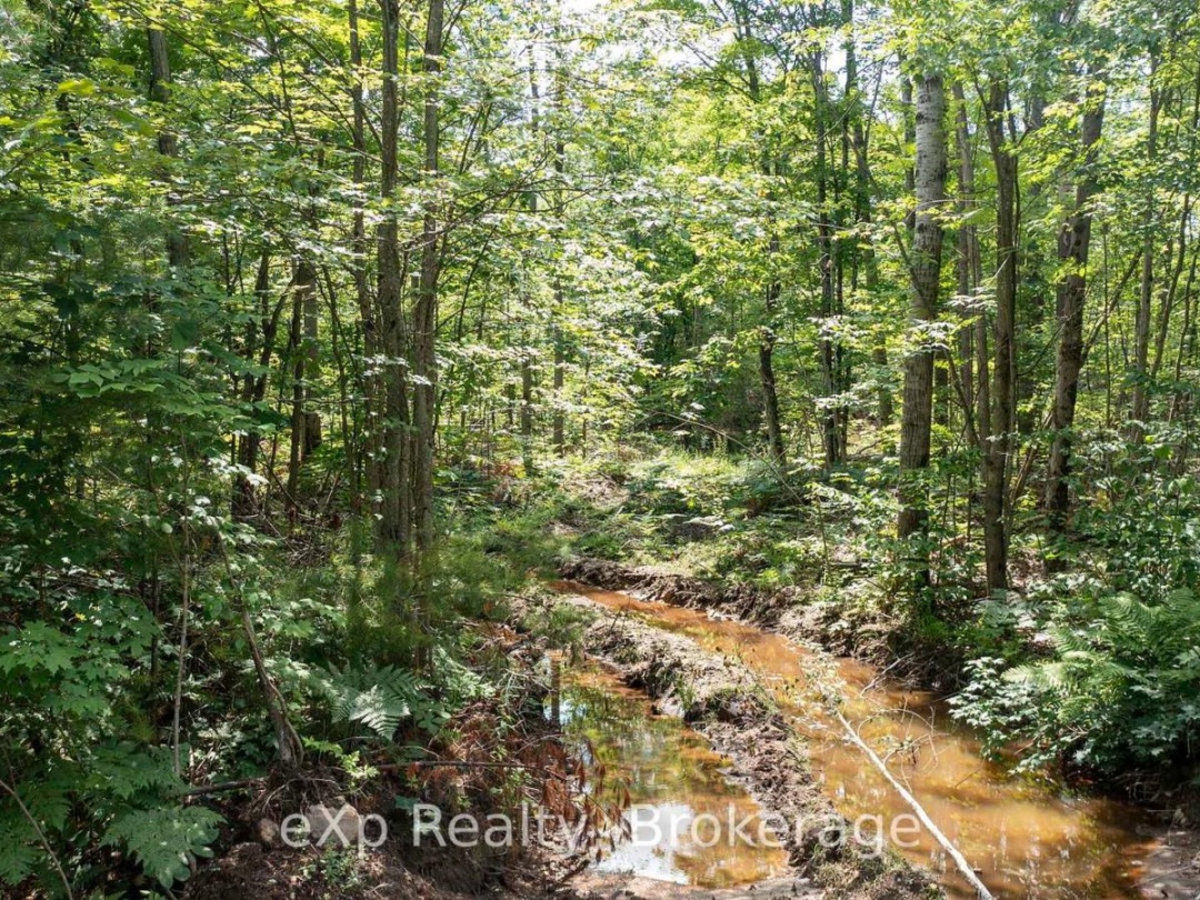 0 OASTLER PARK DRIVE, Seguin