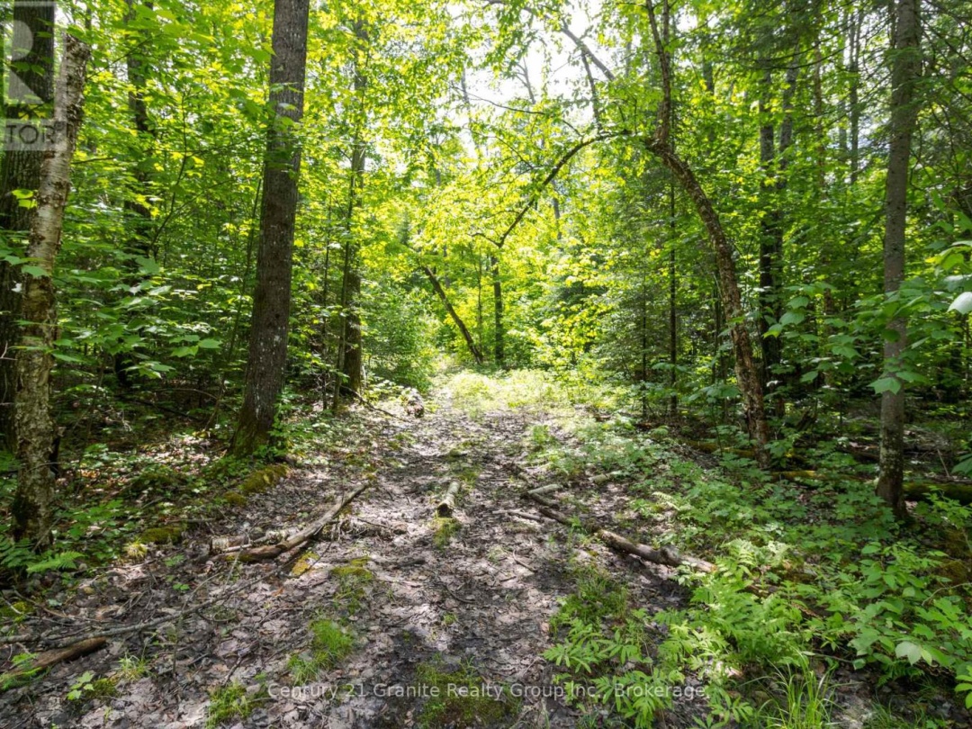 0 HALIBURTON LAKE ROAD, 