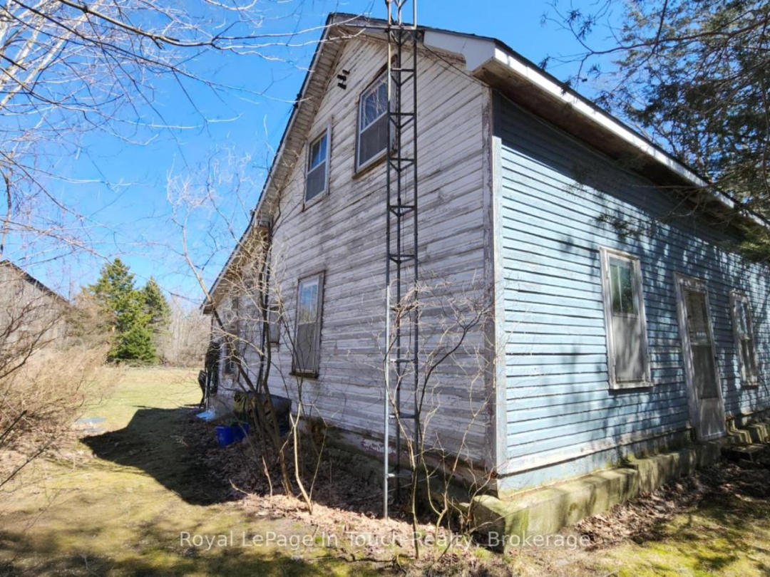1655 Newton Street W, Tay