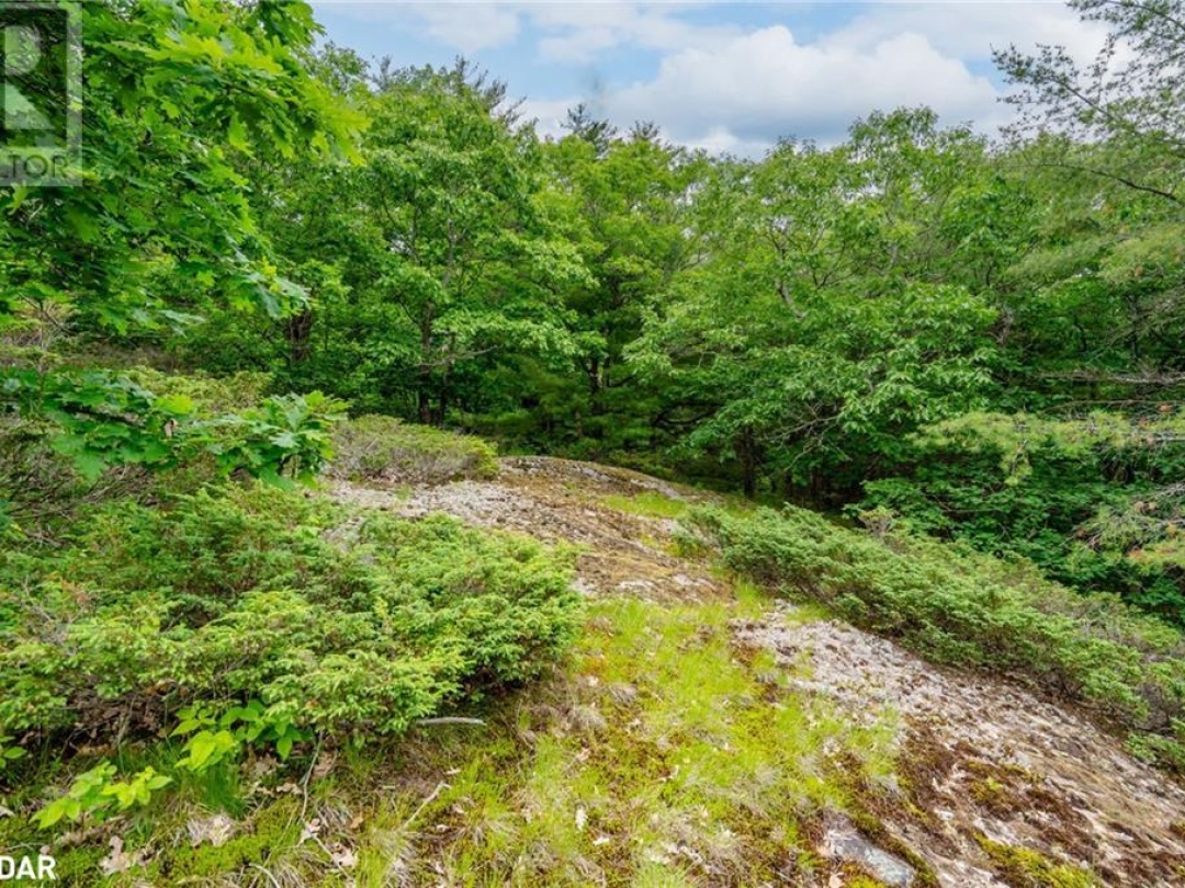 Lot 2 Delta Road, Sparrow Lake