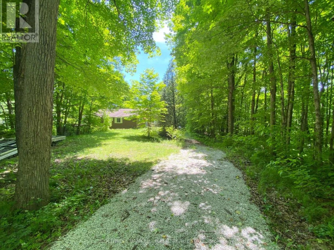 3493 SOUTHWOOD BEACH BOULEVARD, 