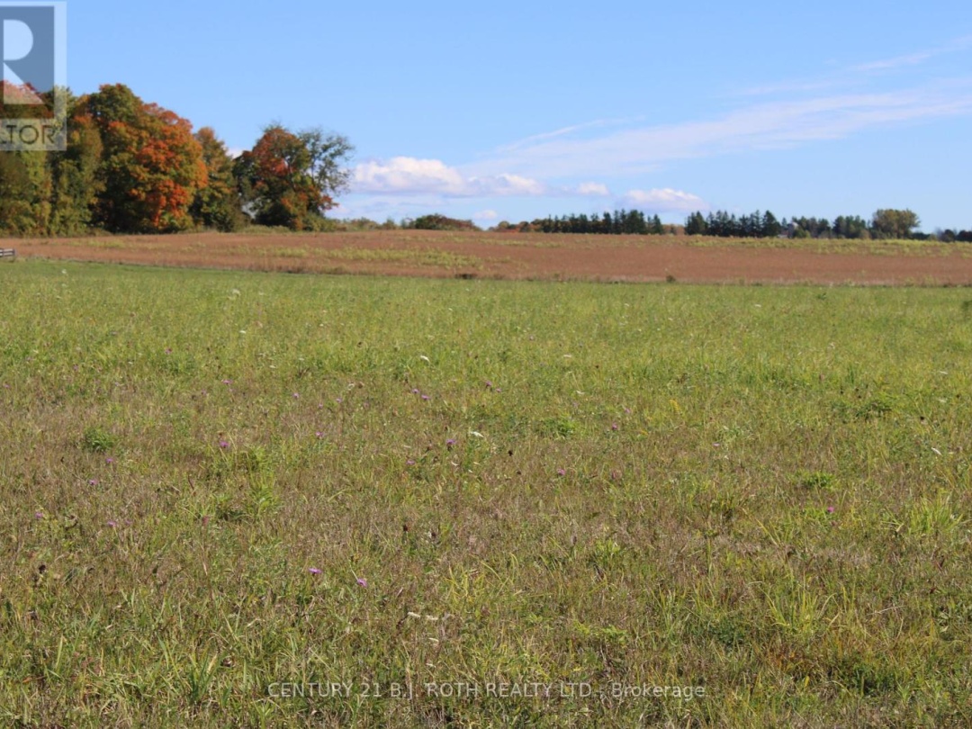 388 Woodland Drive, Oro-Medonte