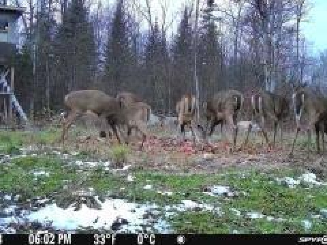 0 HALIBURTON LAKE ROAD, 