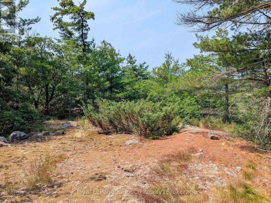 180 PRISQUE ROAD, Georgian Bay