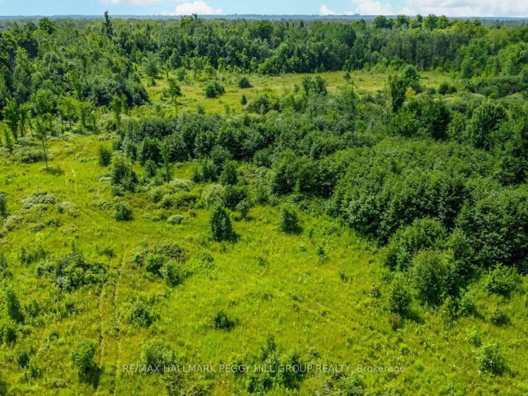LOT 5 CONCESSION 5, 