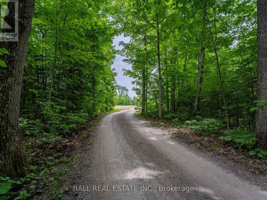 0 Mill Line Road, Pigeon Lake