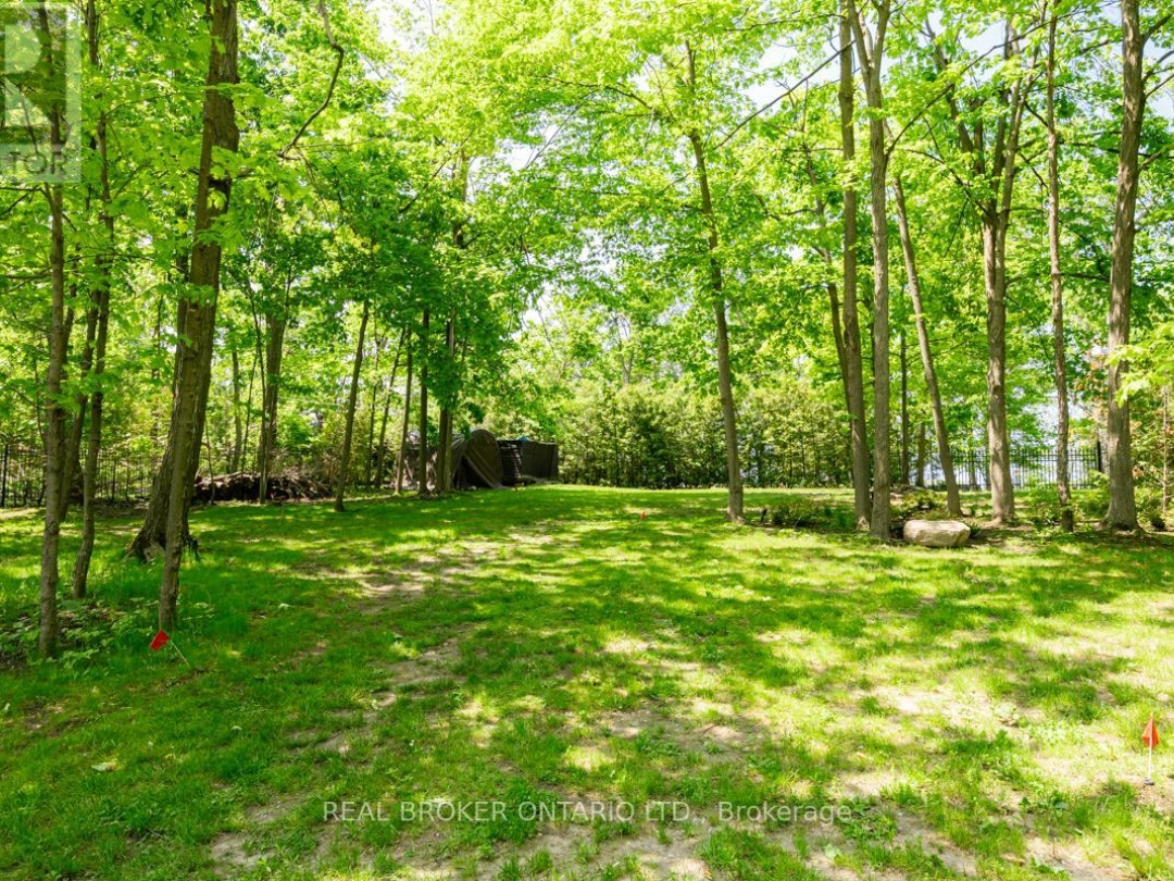 45 IVY LANE, 