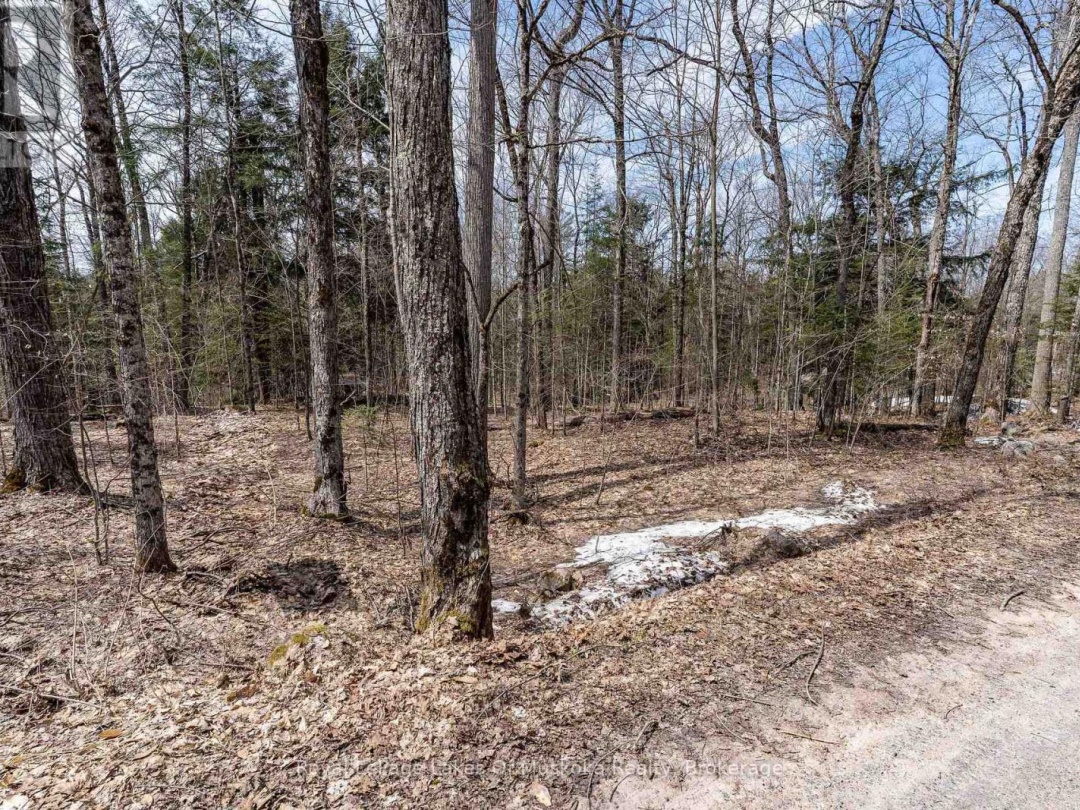 0 Bird Lake Road, Bird Lake