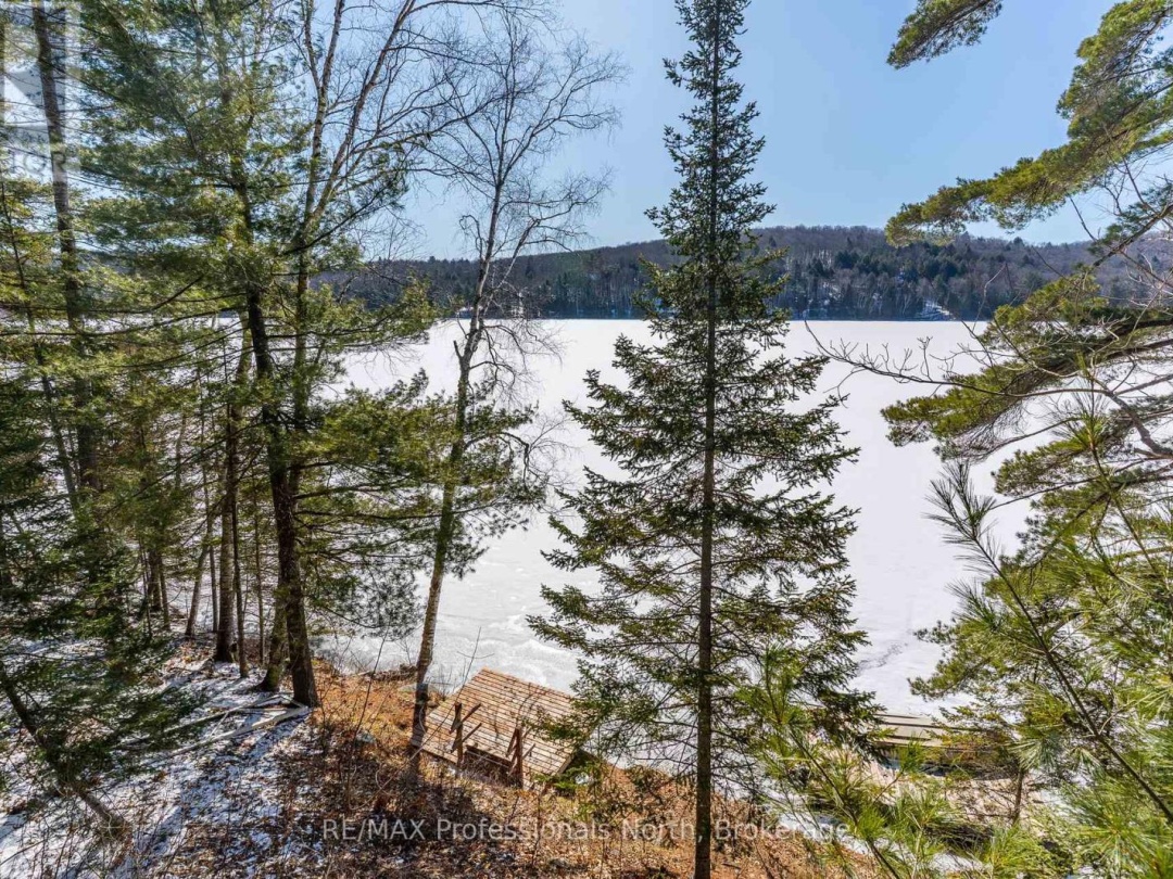 1196 Portage Road, South Portage Lake