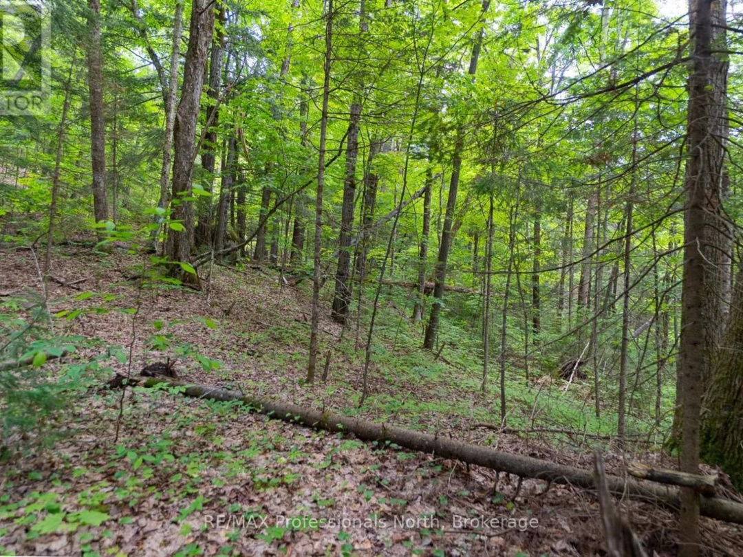 LOT 20 - 6 CONCESSION, 